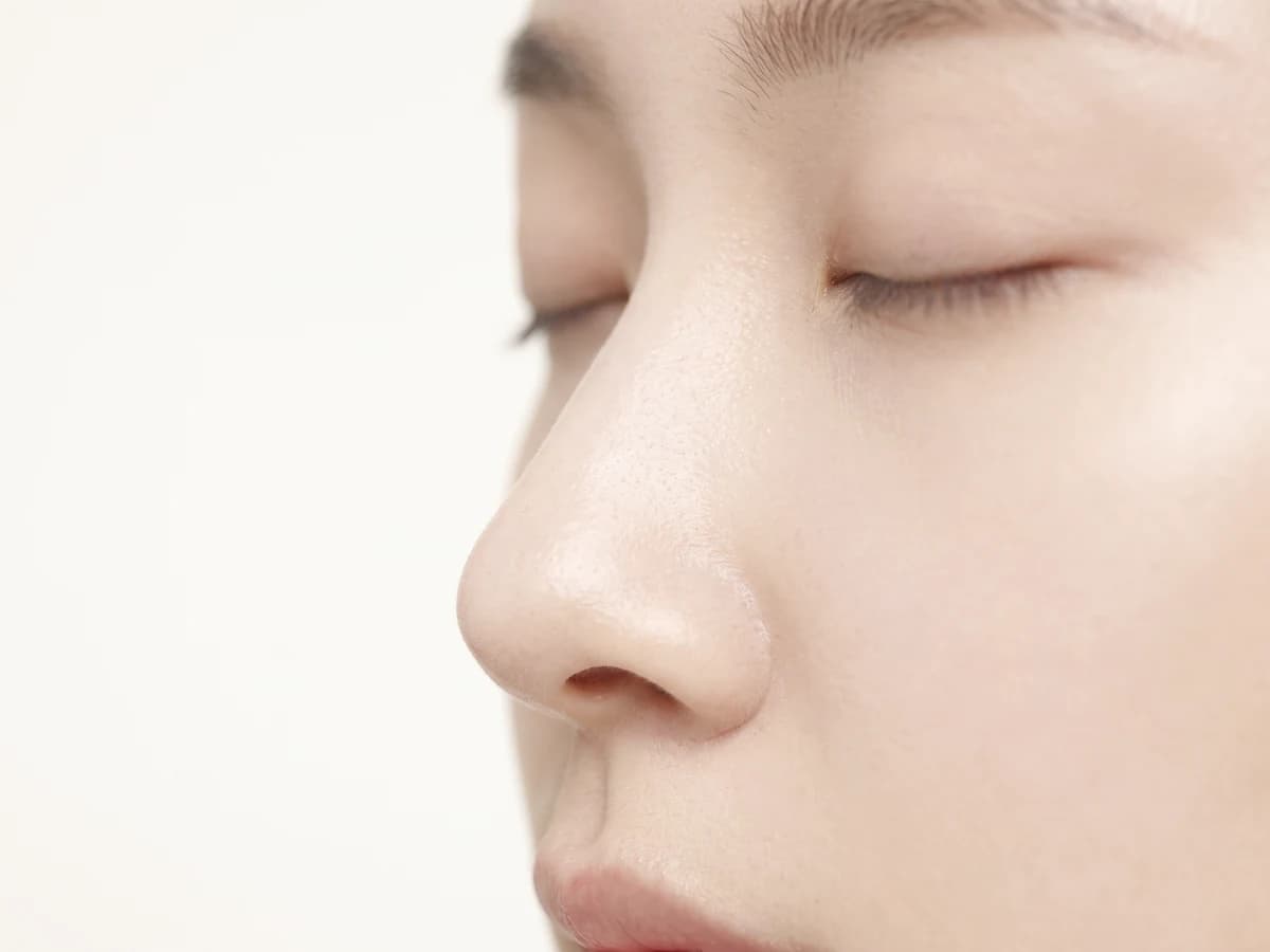 옆에서 본 콧대와 코끝 사진